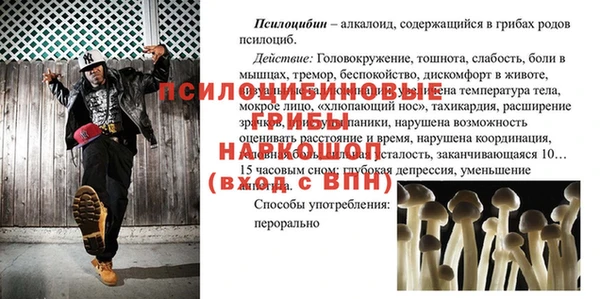 mdpv Туринск