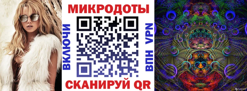 Псилоцибиновые грибы Cubensis  Волгоград 